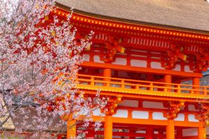 京都　名所　神社